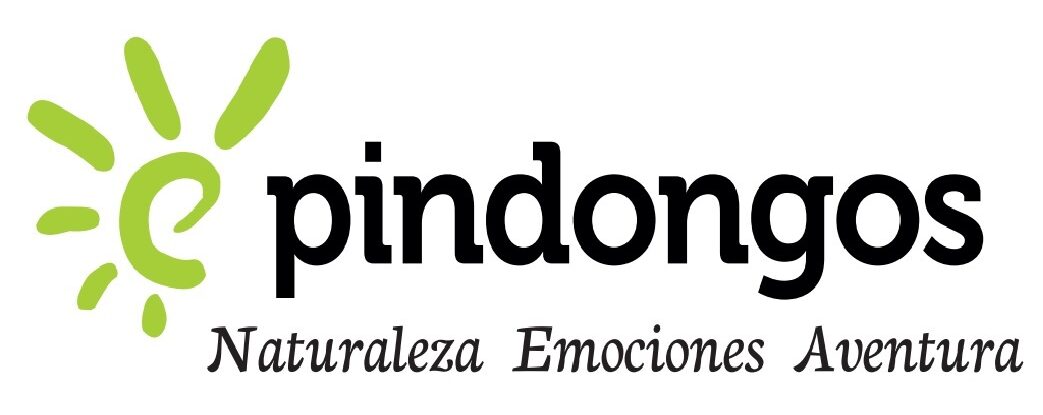 PINDONGOS